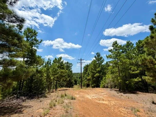 490 Cr 261 Oakwood, TX 75855