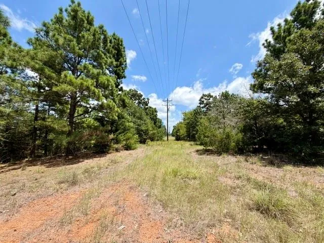490 Cr 261 Oakwood, TX 75855
