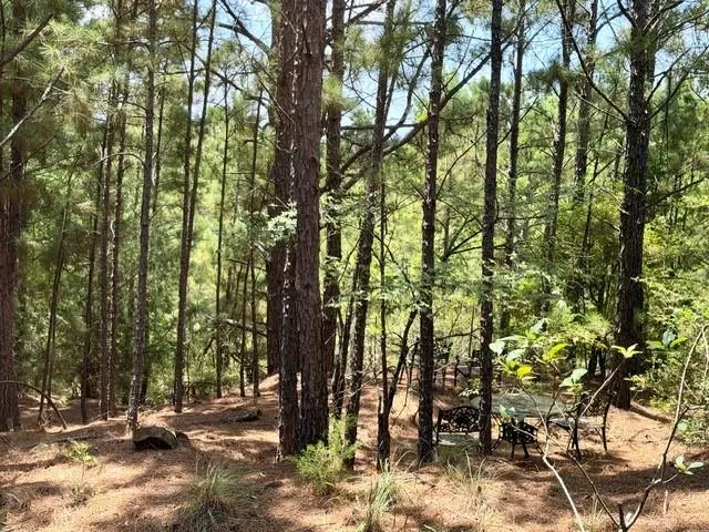 490 Cr 261 Oakwood, TX 75855