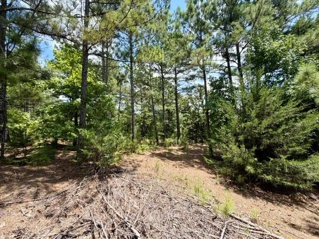 490 Cr 261 Oakwood, TX 75855