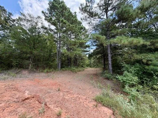 490 Cr 261 Oakwood, TX 75855