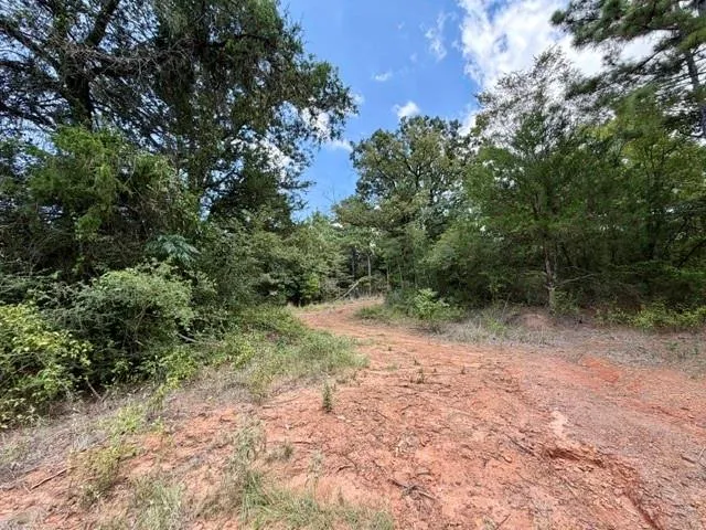 490 Cr 261 Oakwood, TX 75855