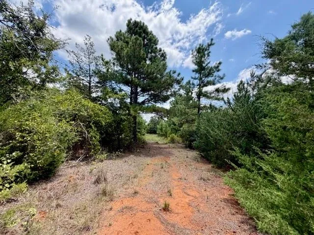 490 Cr 261 Oakwood, TX 75855