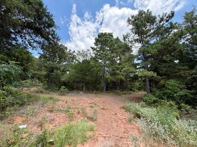 490 Cr 261 Oakwood, TX 75855