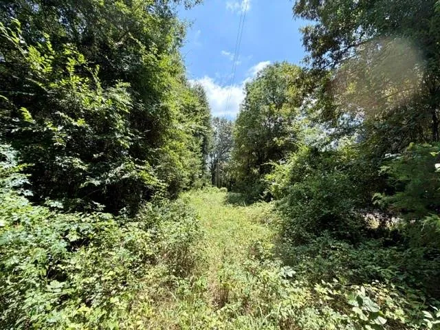 490 Cr 261 Oakwood, TX 75855