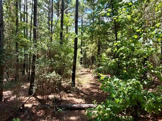 490 Cr 261 Oakwood, TX 75855