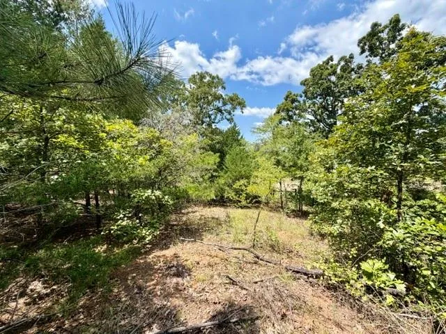 490 Cr 261 Oakwood, TX 75855