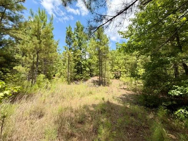 490 Cr 261 Oakwood, TX 75855