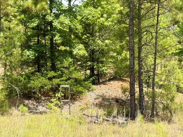490 Cr 261 Oakwood, TX 75855