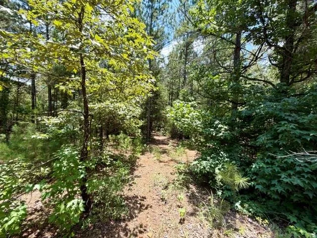 490 Cr 261 Oakwood, TX 75855