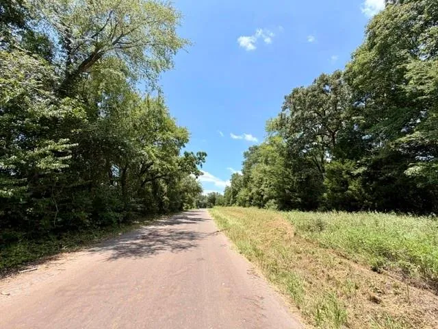 490 Cr 261 Oakwood, TX 75855