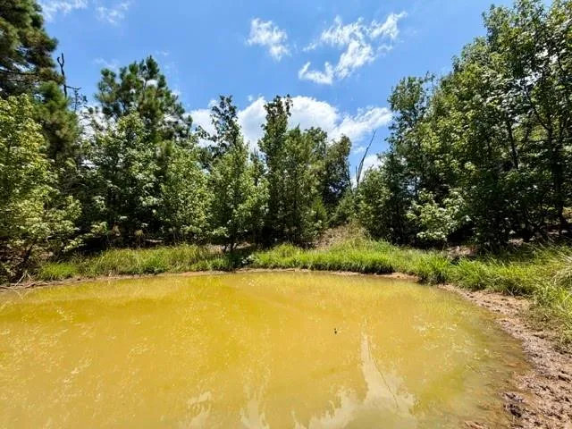 490 Cr 261 Oakwood, TX 75855