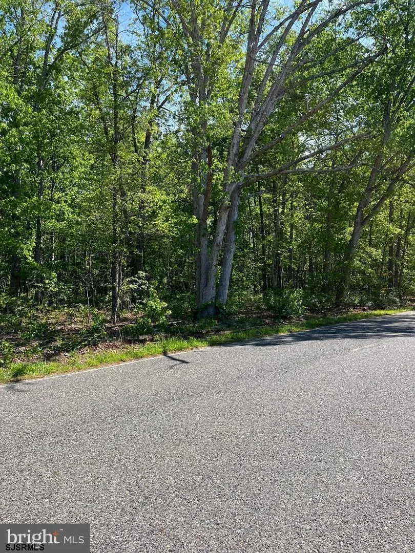 0 Post Road Buena Vista Township, NJ 08360