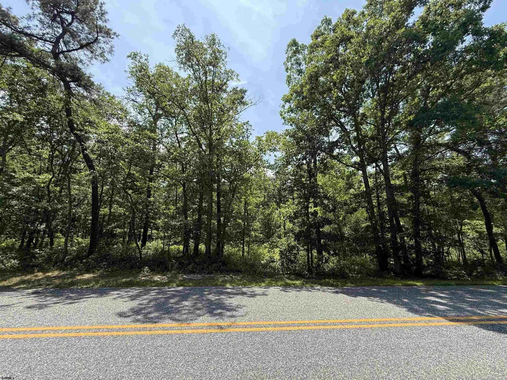 Holly Street Mays Landing, NJ 08330