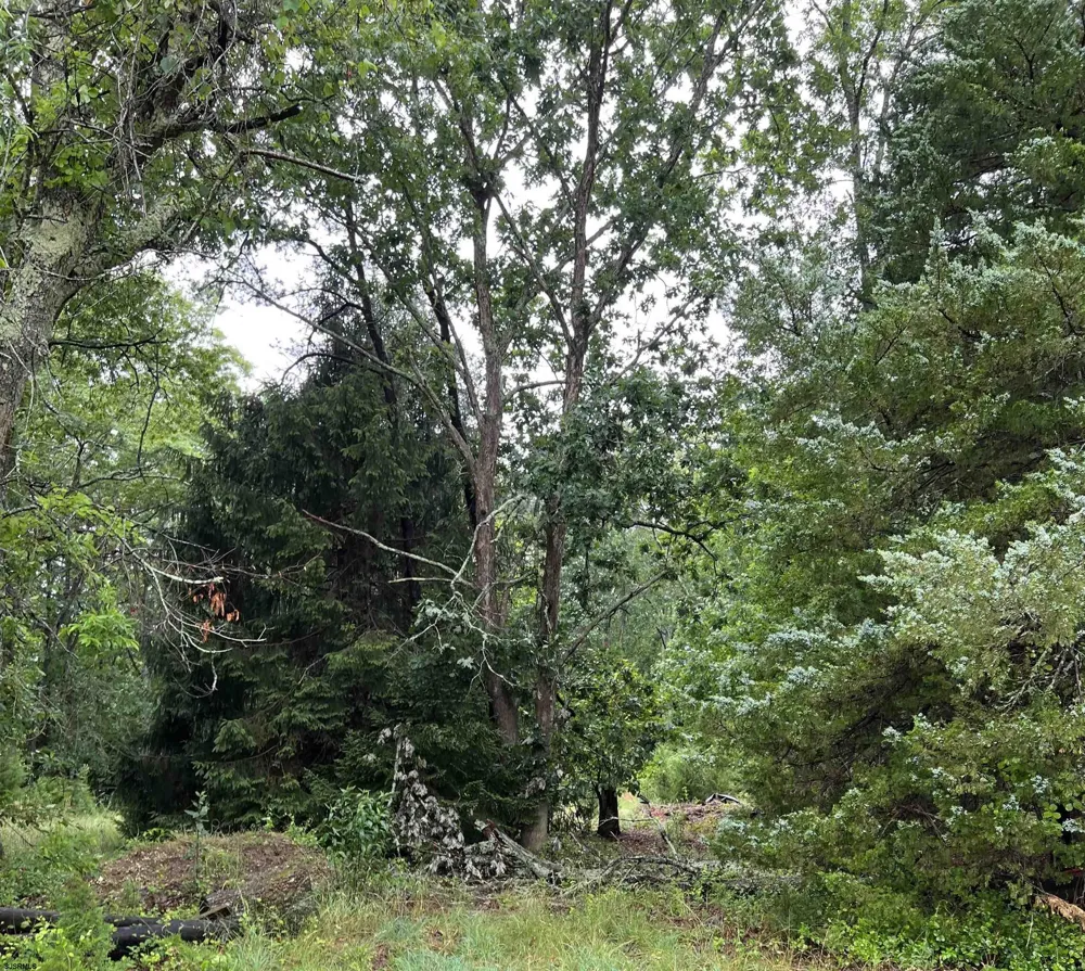 246 Crestview Ave Galloway Township, NJ 08205