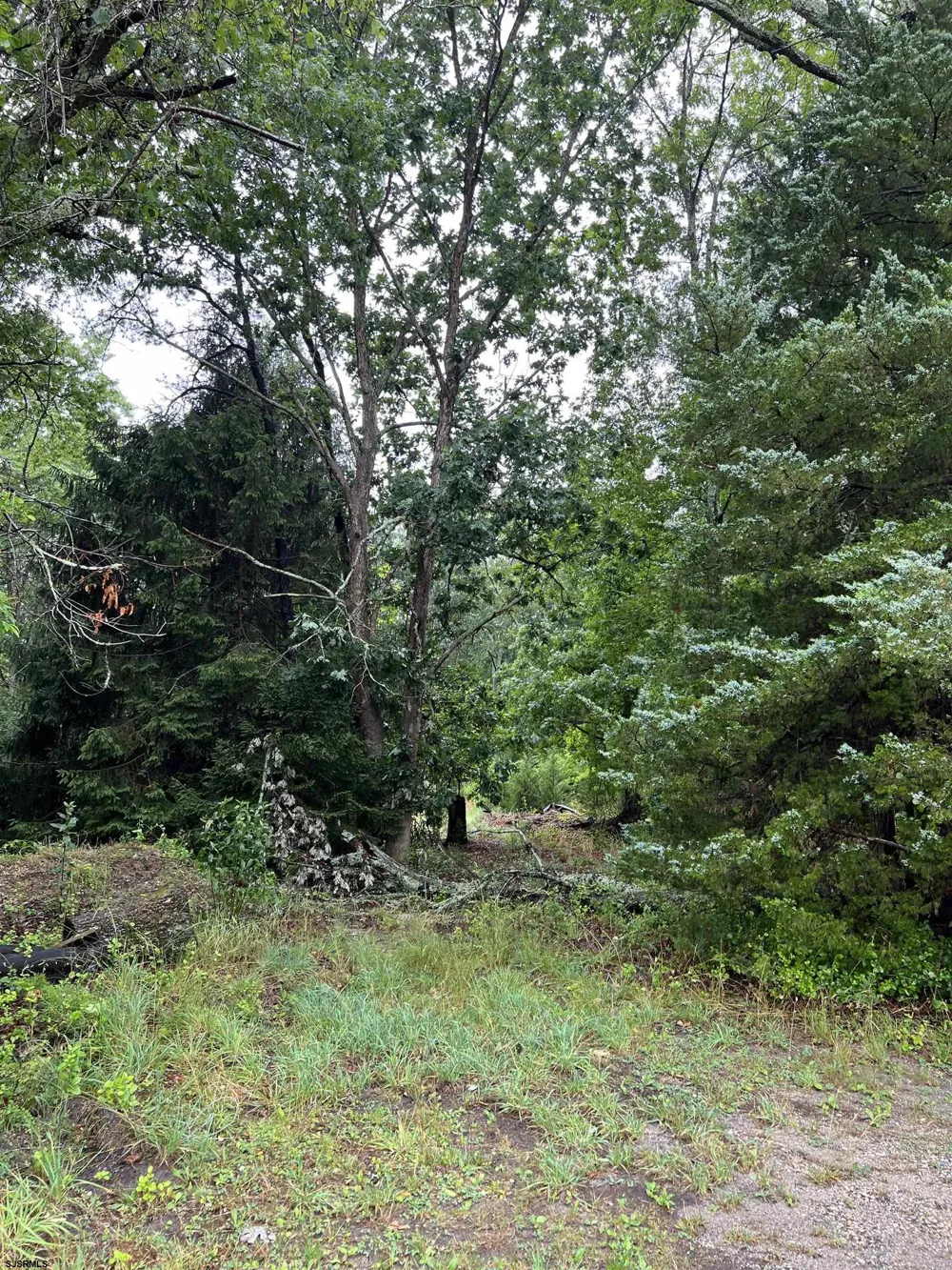 246 Crestview Ave Galloway Township, NJ 08205