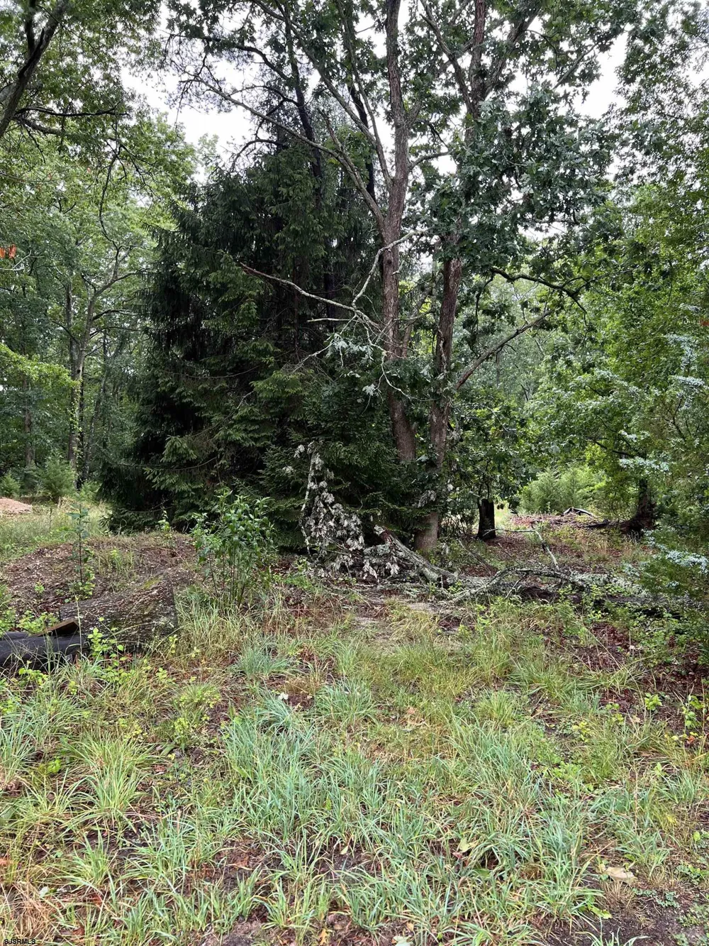 246 Crestview Ave Galloway Township, NJ 08205