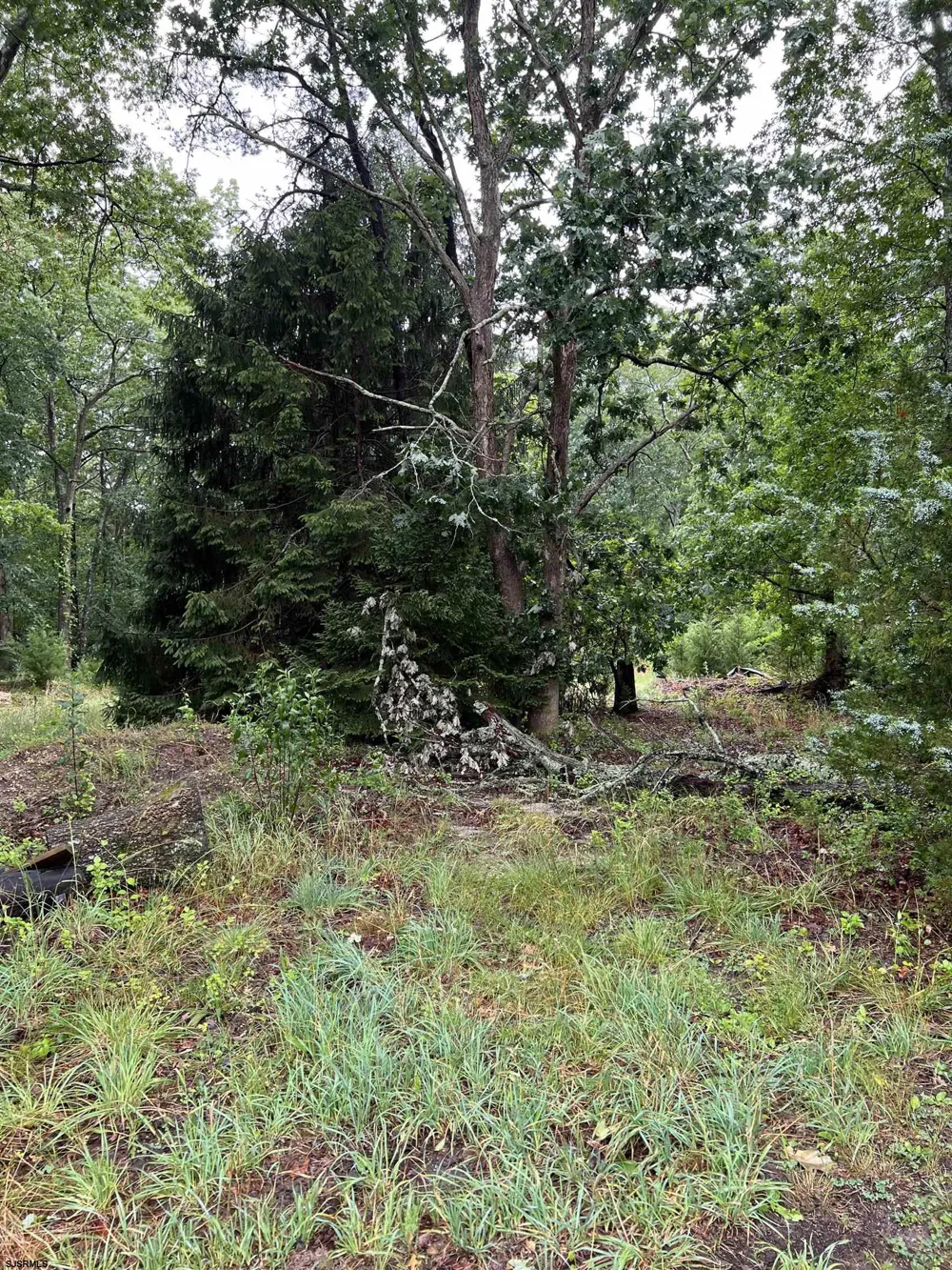 246 Crestview Ave Galloway Township, NJ 08205