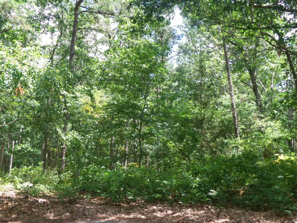0 Columbus Ave Galloway Township, NJ 08205