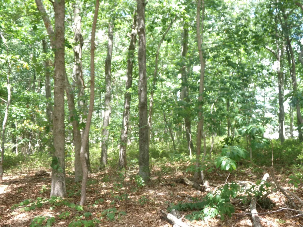 0 Columbus Ave Galloway Township, NJ 08205
