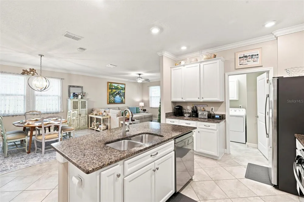 9189 SHADYSIDE LANE Land O Lakes, FL 34637