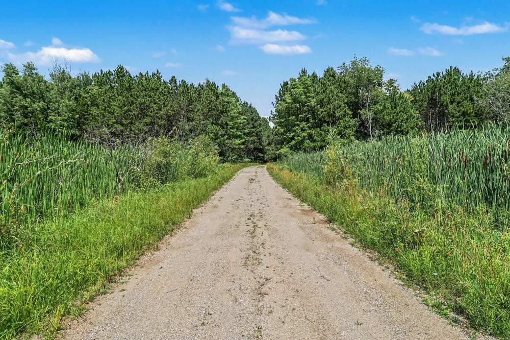 9638 8 Mile Road Kaleva, MI 49645