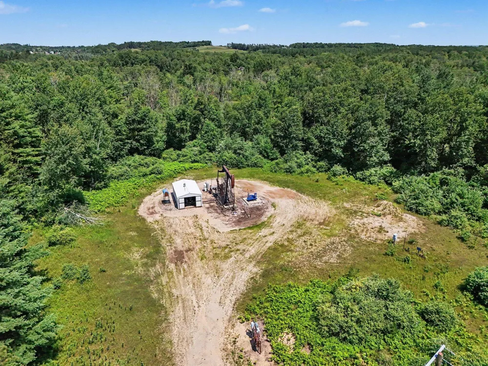 9638 8 Mile Road Kaleva, MI 49645