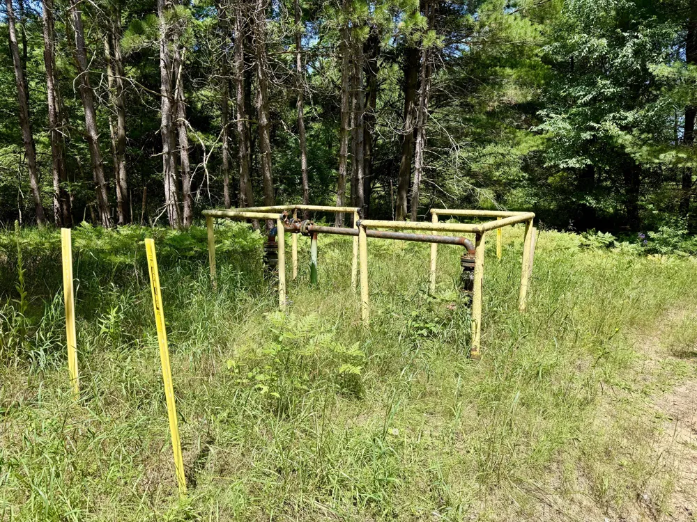 9638 8 Mile Road Kaleva, MI 49645