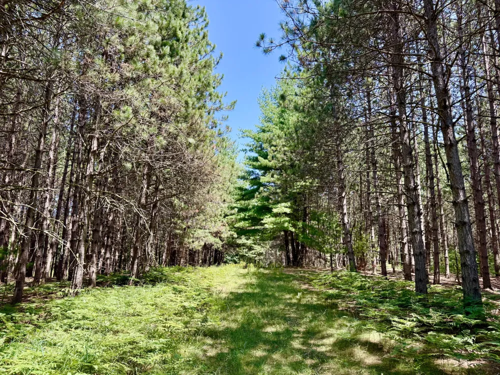 9638 8 Mile Road Kaleva, MI 49645
