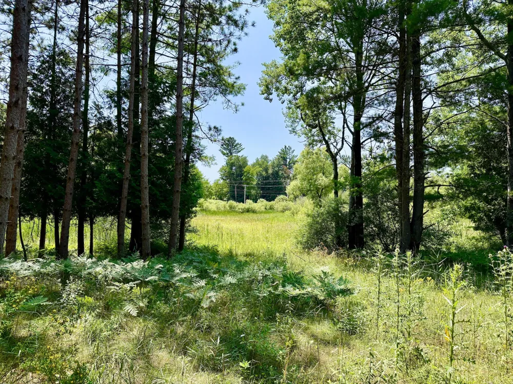 9638 8 Mile Road Kaleva, MI 49645