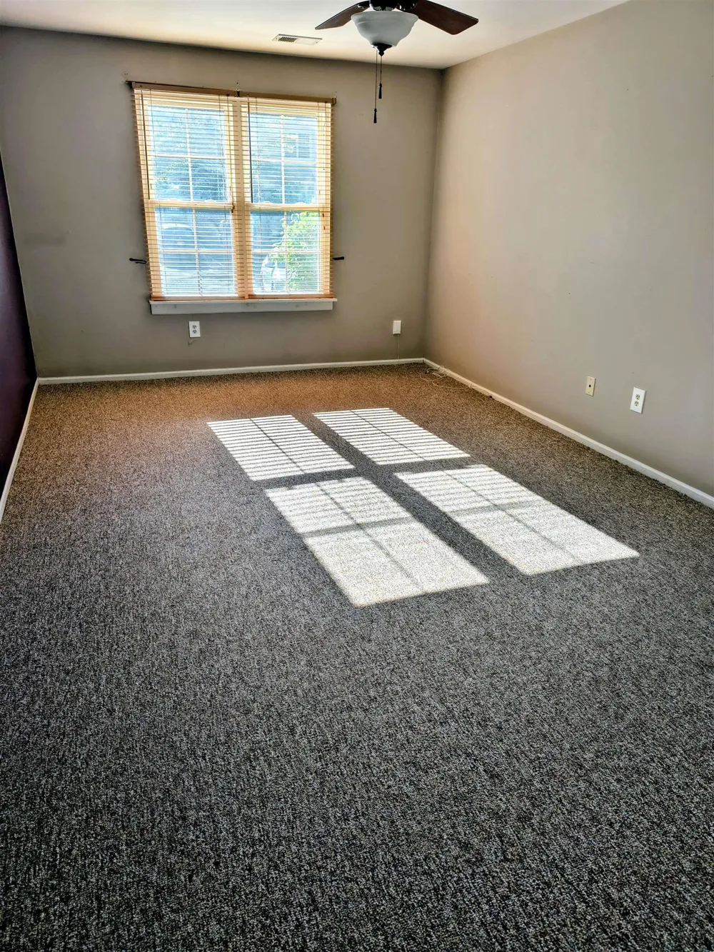 4947 Rosebay Pl Mays Landing, NJ 08330