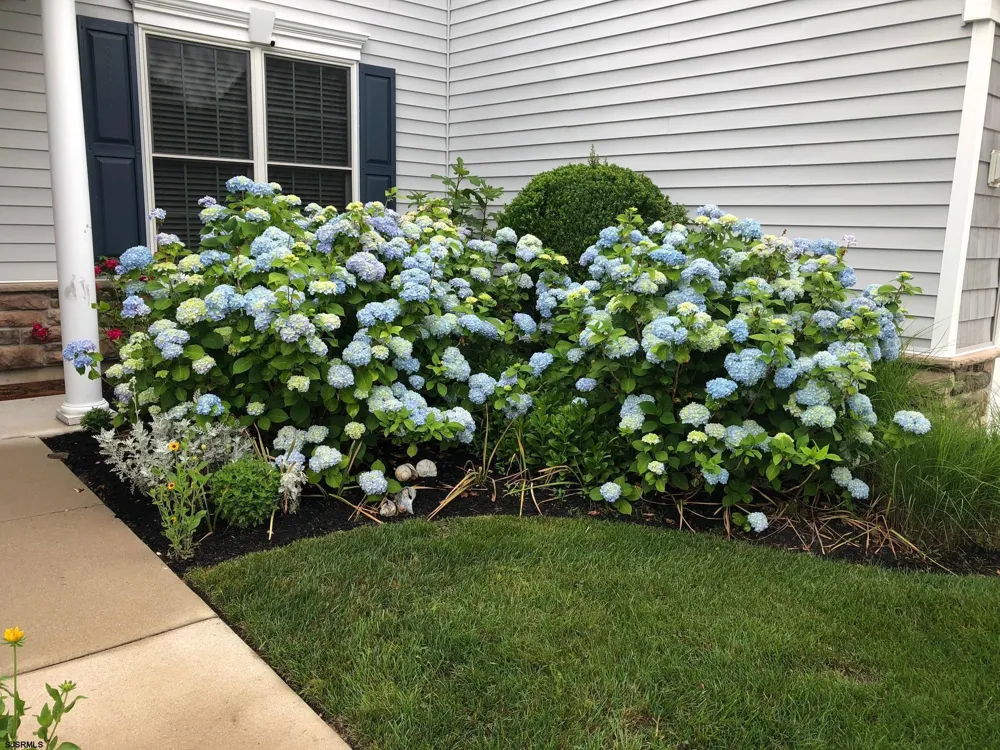 308 Osprey Ct Cape May Court House, NJ 08210