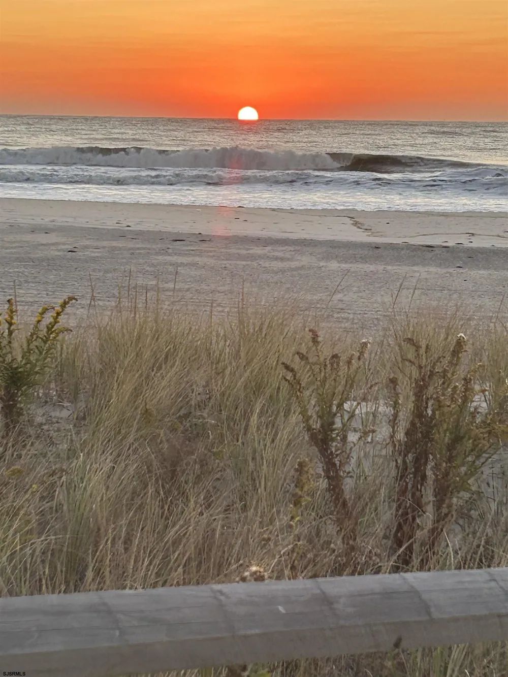 7904 Landis Ave Sea Isle City, NJ 08243