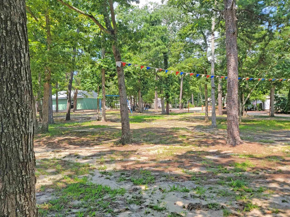 516 Route 9, F-13 Marmora, NJ 08223