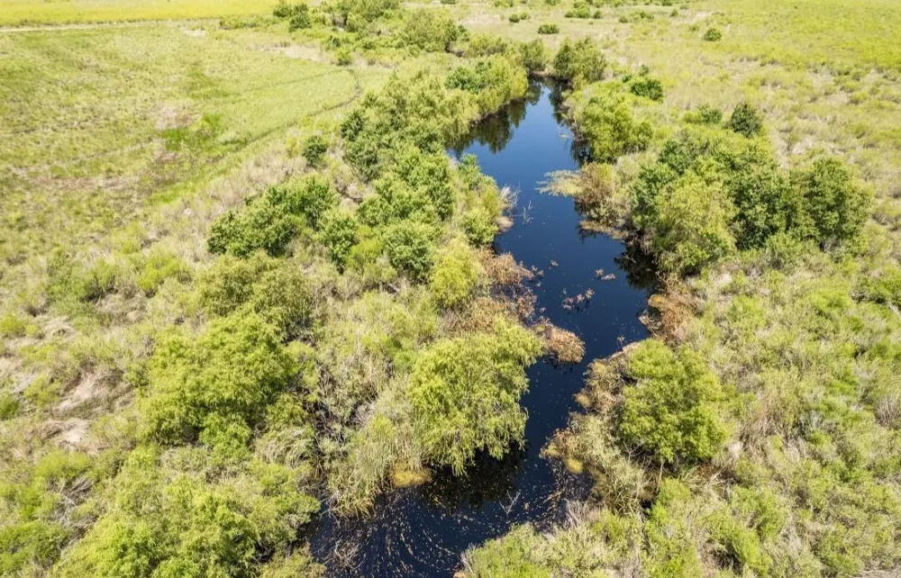 County Road 595 Off Angleton, TX 77515