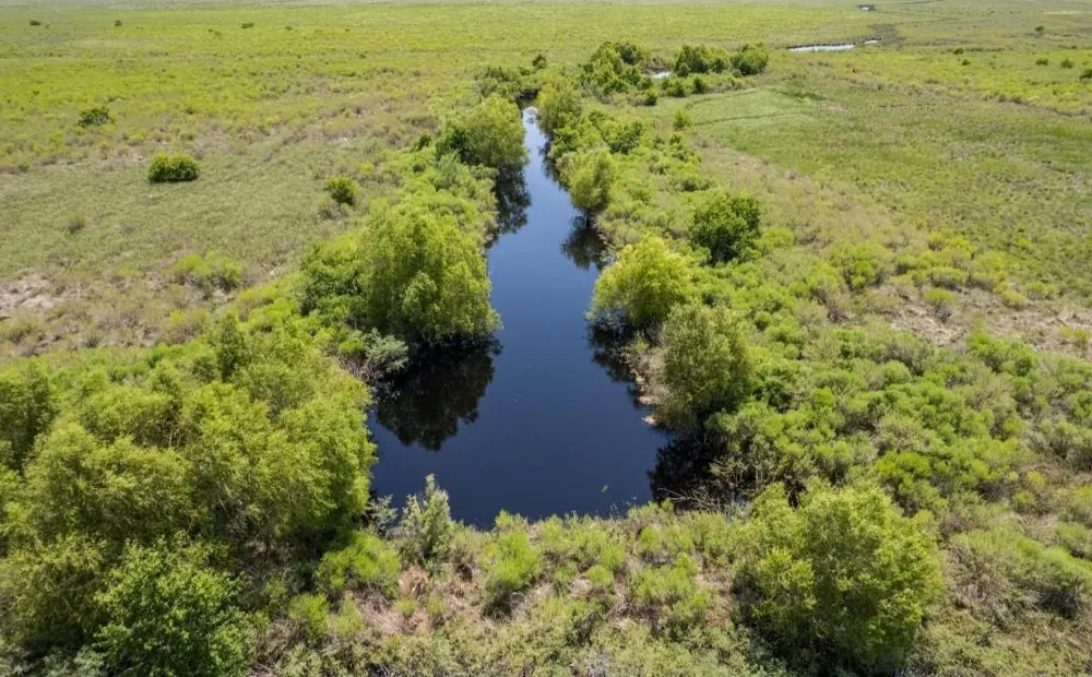 County Road 595 Off Angleton, TX 77515