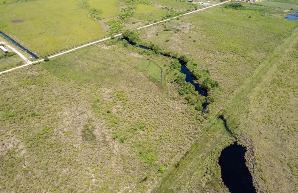 County Road 595 Off Angleton, TX 77515