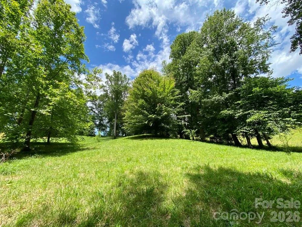 48 Sweet Fern Parkway #59 Asheville, NC 28804