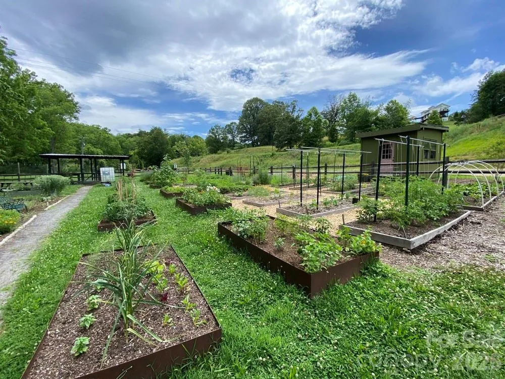 48 Sweet Fern Parkway #59 Asheville, NC 28804