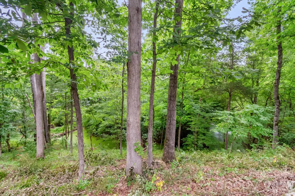 3248 The Knoll Lane Lancaster, SC 29720