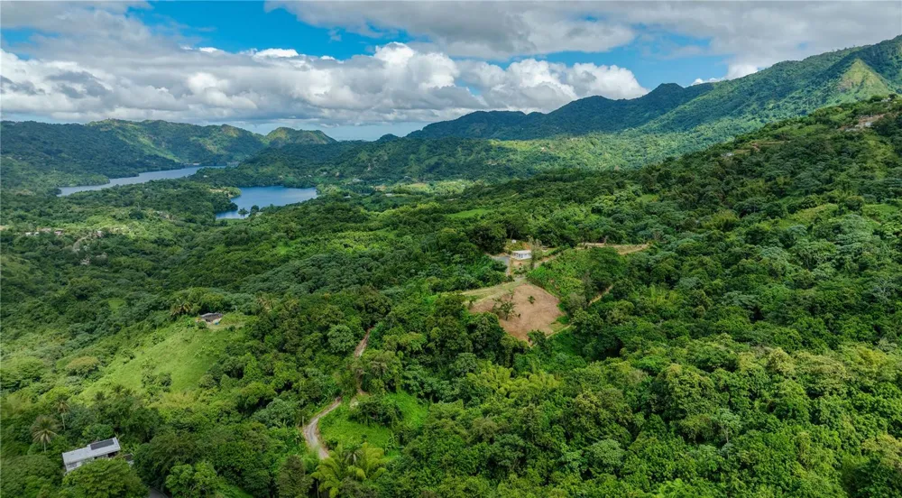 Carr. 140 KM 17.9 Utuado, PR 00641