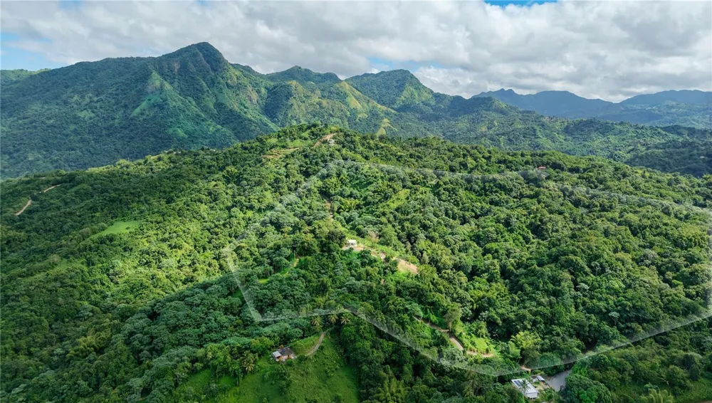 Carr. 140 KM 17.9 Utuado, PR 00641
