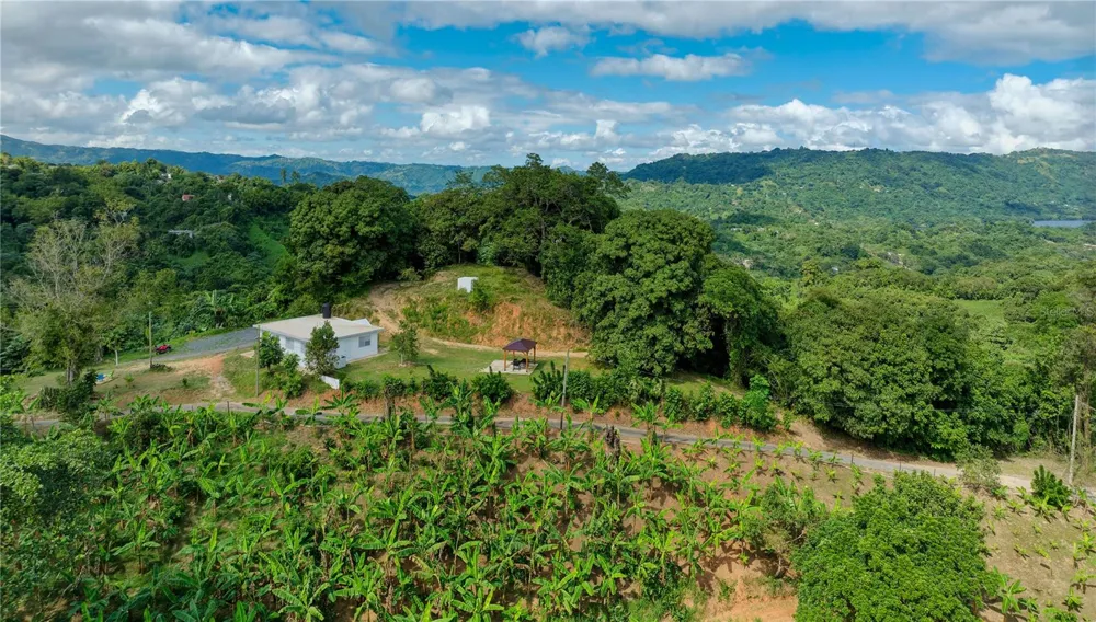 Carr. 140 KM 17.9 Utuado, PR 00641