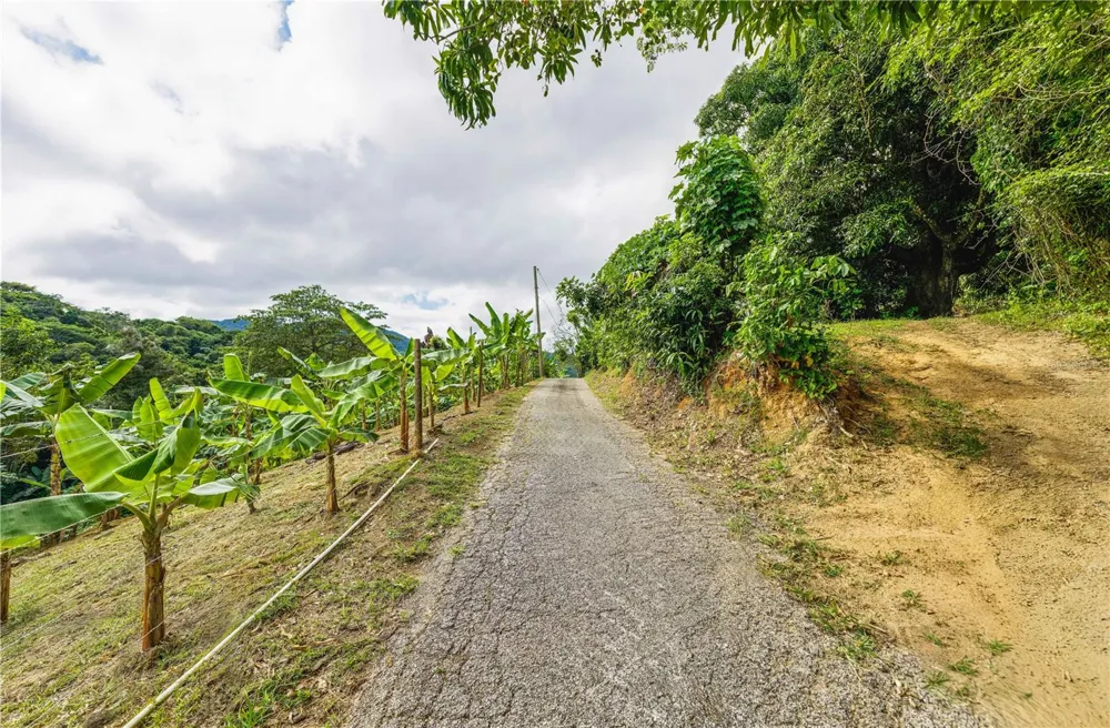 Carr. 140 KM 17.9 Utuado, PR 00641