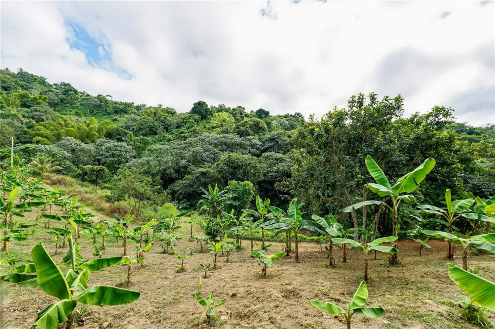 Carr. 140 KM 17.9 Utuado, PR 00641