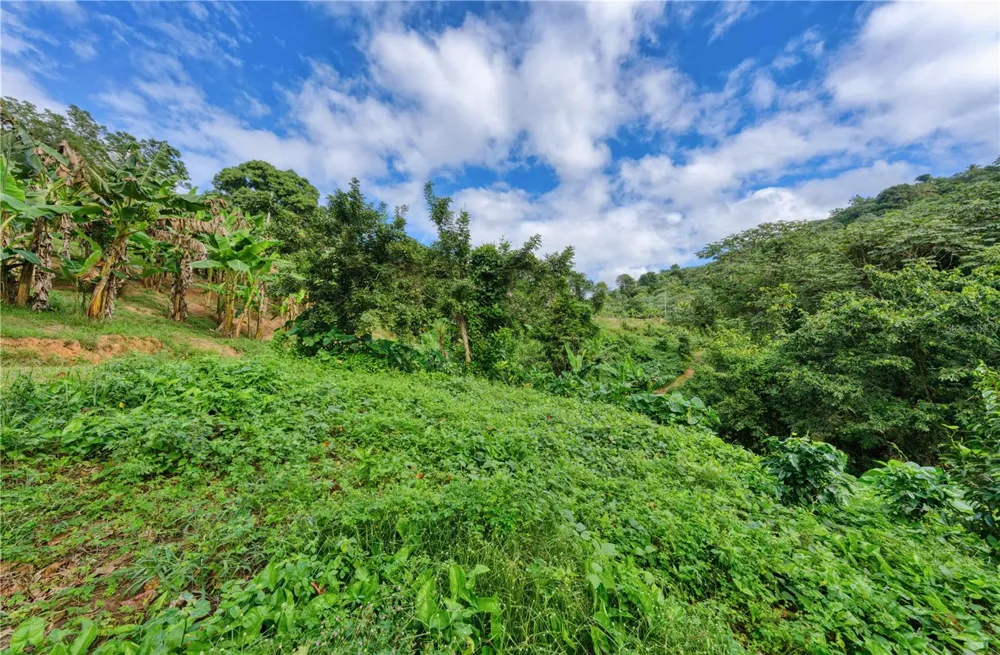 Carr. 140 KM 17.9 Utuado, PR 00641
