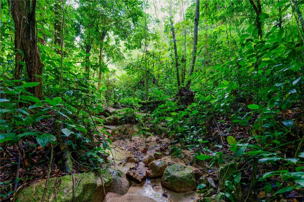 Carr. 140 KM 17.9 Utuado, PR 00641