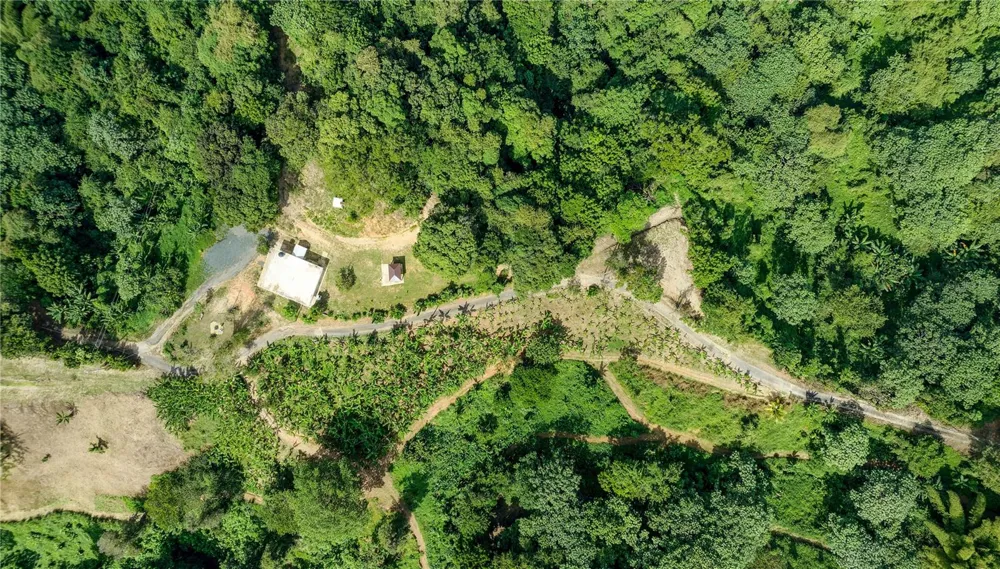 Carr. 140 KM 17.9 Utuado, PR 00641