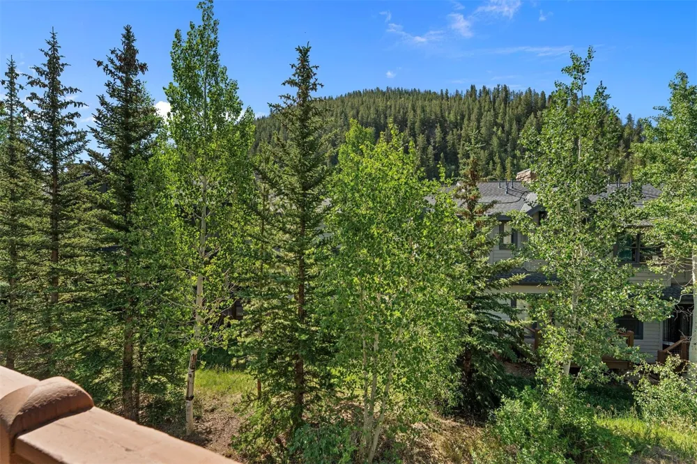 402 Wild Irishman Road #1916 Keystone, CO 80435