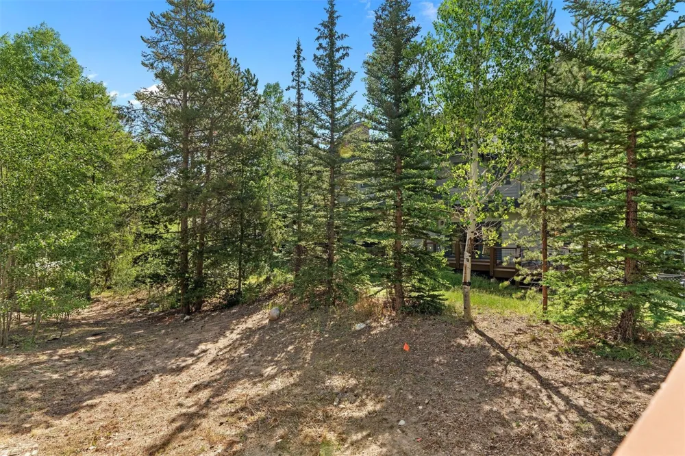 402 Wild Irishman Road #1916 Keystone, CO 80435